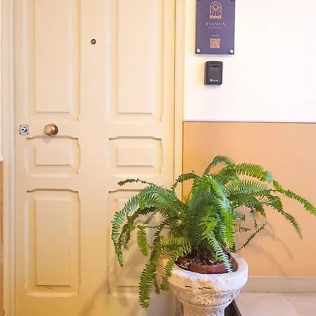 Apartamento 2 Bedrooms Penthouse In The Center *